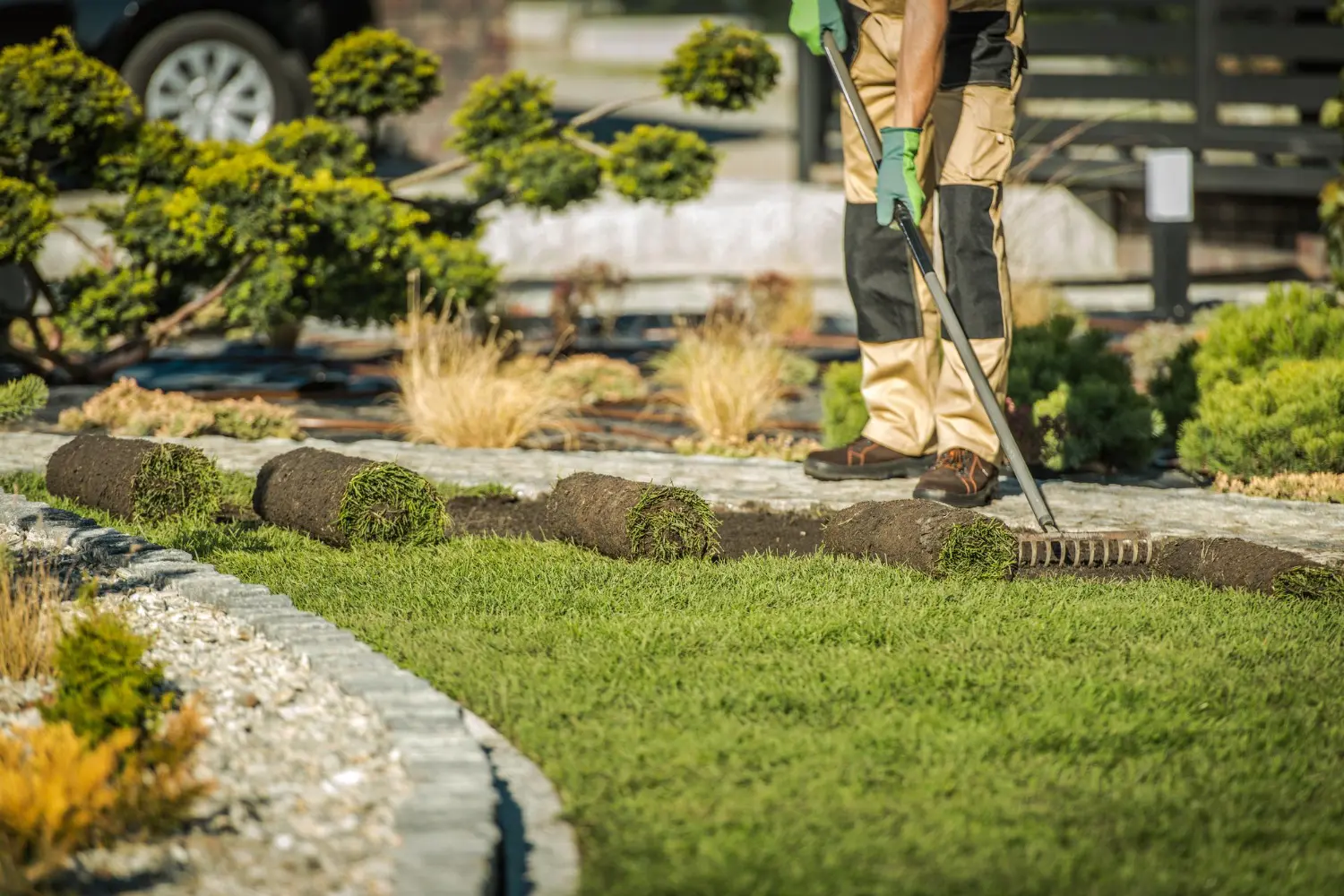 Sod & Lawn Installation